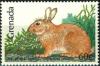 Colnect-2172-450-European-Rabbit-Oryctolagus-cuniculus.jpg