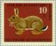 Colnect-152-589-European-Rabbit-Oryctolagus-cuniculus.jpg