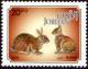 Colnect-5334-751-European-Rabbit-Oryctolagus-cuniculus.jpg