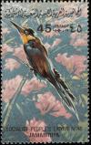 Colnect-1648-464-European-Bee-eater-Merops-apiaster.jpg