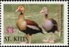 Colnect-1659-397-Black-bellied-Whistling-Duck.jpg