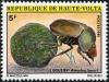 Colnect-2244-836-Dung-Beetle-Ateuchus-sacer.jpg