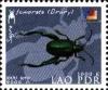 Colnect-2541-496-Leaf-Beetle-Sagra-femorata.jpg