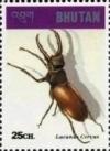 Colnect-3381-438-Stag-Beetle-Lucanus-cervus.jpg