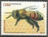 Colnect-4628-805-African-Honey-Bee-Apis-mellifera-scutellata.jpg
