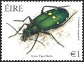Colnect-1863-850-Green-Tiger-Beetle-Cicindela-campestris.jpg