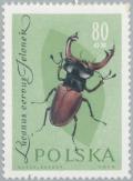 Colnect-2665-828-Stag-Beetle-Lucanus-cervus.jpg