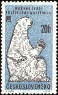Colnect-441-142-Polar-Bear-Ursus-maritimus.jpg