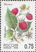 Colnect-526-370-Raspberry-Rubus-idaeus.jpg