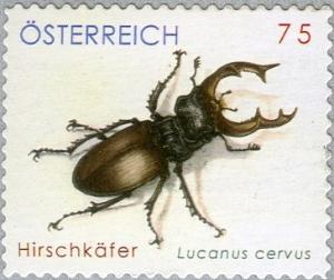 Colnect-1025-079-Stag-Beetle-Lucanus-cervus.jpg