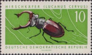 Colnect-1974-294-Stag-Beetle-Lucanus-cervus.jpg