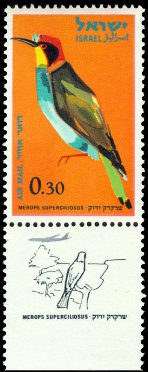 Colnect-2249-427-European-Bee-eater-Merops-apiaster.jpg