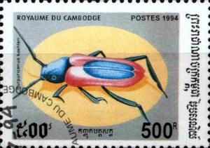 Colnect-3301-783-Long-horned-Beetle-Purpuricenus-kaehleri.jpg
