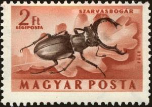 Colnect-5250-958-Stag-Beetle-Lucanus-cervus.jpg