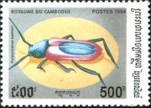 Colnect-5872-589-Long-horned-Beetle-Purpuricenus-kaehleri.jpg