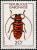 Colnect-1209-603-Long-horned-Beetle-Sternotomis-mirabilis.jpg