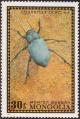 Colnect-1485-933-Darkling-Beetle-Sternoplax-zichyi.jpg