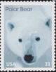 Colnect-201-215-Polar-Bear-Ursus-maritimus.jpg
