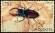 Colnect-5745-620-Stag-Beetle-Lucanus-cervus.jpg