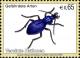 Colnect-611-533-Blue-Ground-Beetle-Carabus-intricatus-.jpg