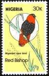 Colnect-1657-051-Northern-Red-Bishop-Euplectes-franciscanus.jpg