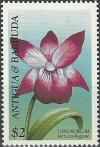Colnect-1761-283-Dendrobium-victoriae-reginae.jpg