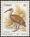 Colnect-2980-350-Hadada-Ibis-Bostrychia-hagedash.jpg