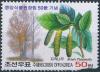 Colnect-3316-698-Japanese-birch-Betula-platyphylla.jpg