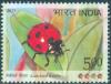 Colnect-4058-464-Seven-spot-Ladybird-Coccinella-septempunctata.jpg