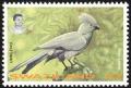 Colnect-1661-915-Grey-Go-away-bird-Corythaixoides-concolor.jpg