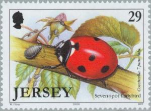 Colnect-127-988-Seven-Spot-Ladybird-Coccinella-septempunctata.jpg