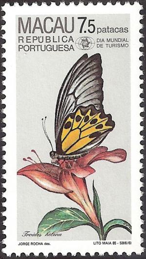 Colnect-1456-115-Common-Birdwing-Troides-helena.jpg