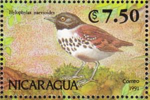 Colnect-1626-022-Spotted-Antbird-Hylophylax-naevioides.jpg