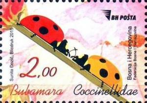 Colnect-2712-925-Seven-spot-Ladybird-Coccinella-septempunctata.jpg