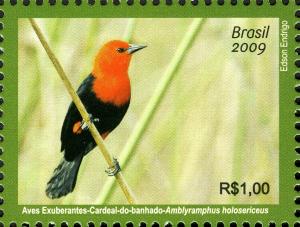 Colnect-450-163-Red-headed-Blackbird-Amblyramphus-holosericeus.jpg