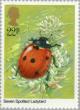Colnect-122-402-Seven-Spot-Ladybird-Coccinella-septempunctata.jpg