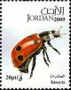 Colnect-1876-145-Seven-Spot-Ladybird-Coccinella-septempunctata.jpg
