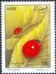 Colnect-2495-751-Seven-Spot-Ladybird-Coccinella-septempunctata.jpg