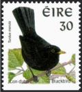Colnect-1805-750-Common-Blackbird-Turdus-merula.jpg