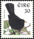 Colnect-1805-751-Common-Blackbird-Turdus-merula.jpg