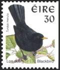Colnect-1805-752-Common-Blackbird-Turdus-merula.jpg