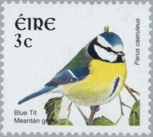 Colnect-129-886-Eurasian-Blue-Tit-Parus-caeruleus.jpg