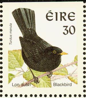 Colnect-1792-048-Common-Blackbird-Turdus-merula.jpg