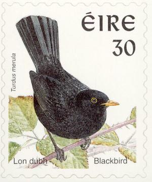 Colnect-1792-062-Common-Blackbird-Turdus-merula.jpg