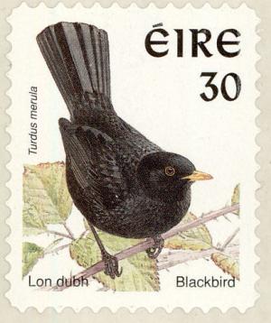Colnect-1792-078-Common-Blackbird-Turdus-merula.jpg