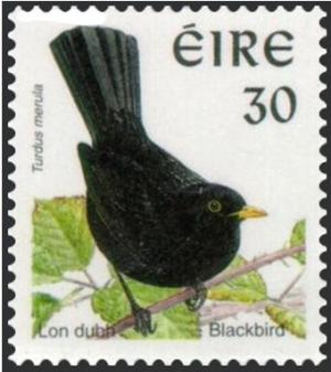Colnect-1813-191-Common-Blackbird-Turdus-merula.jpg