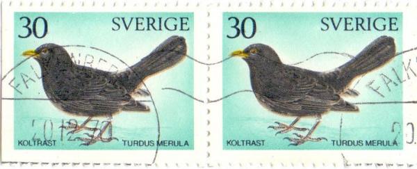 Colnect-3563-093-Common-Blackbird-Turdus-merula.jpg