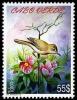 Colnect-1750-199-Cape-Verde-Warbler-Acrocephalus-brevipennis.jpg