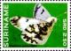 Colnect-3489-932-Creamy-Marblewing-Euchloe-ausonides.jpg