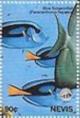 Colnect-3546-594-Blue-surgeonfish.jpg